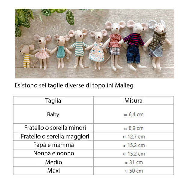 
                  
                    MAILEG 17330600TOPO SCI
                  
                