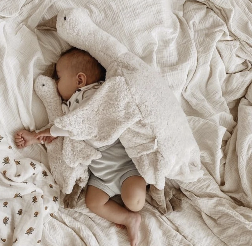 Senger Oca piccola con cuscino noccioli di ciliegia