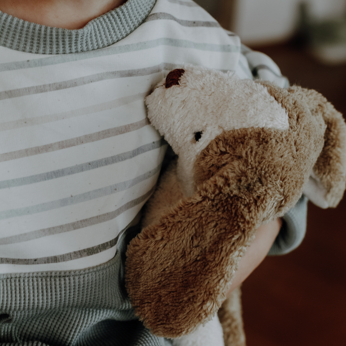 
                  
                    Floppy animal Dog Y21814DOG SENGER
                  
                