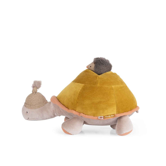 Tartaruga attività